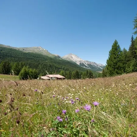 Chasa Al Battaporta Bed and Breakfast Fuldera